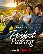 A Perfect Pairing 2022 Hindi Dubbed 480p 720p FilmyMeet