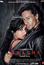 Baaghi 2016 Full Movie Download FilmyMeet