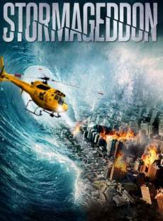 Stormageddon 2015 Dual Audio Hindi 480p 300MB FilmyMeet