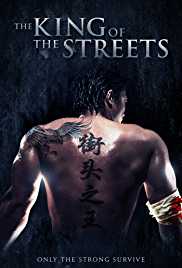 The King of the Streets 2012 Dual Audio Hindi 480p 300MB FilmyMeet